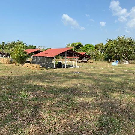 Hotel - Granja De Animales San Basilio De Palenque San Basilio del Palenque Dış mekan fotoğraf