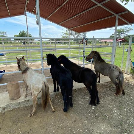 Hotel - Granja De Animales San Basilio De Palenque San Basilio del Palenque Dış mekan fotoğraf