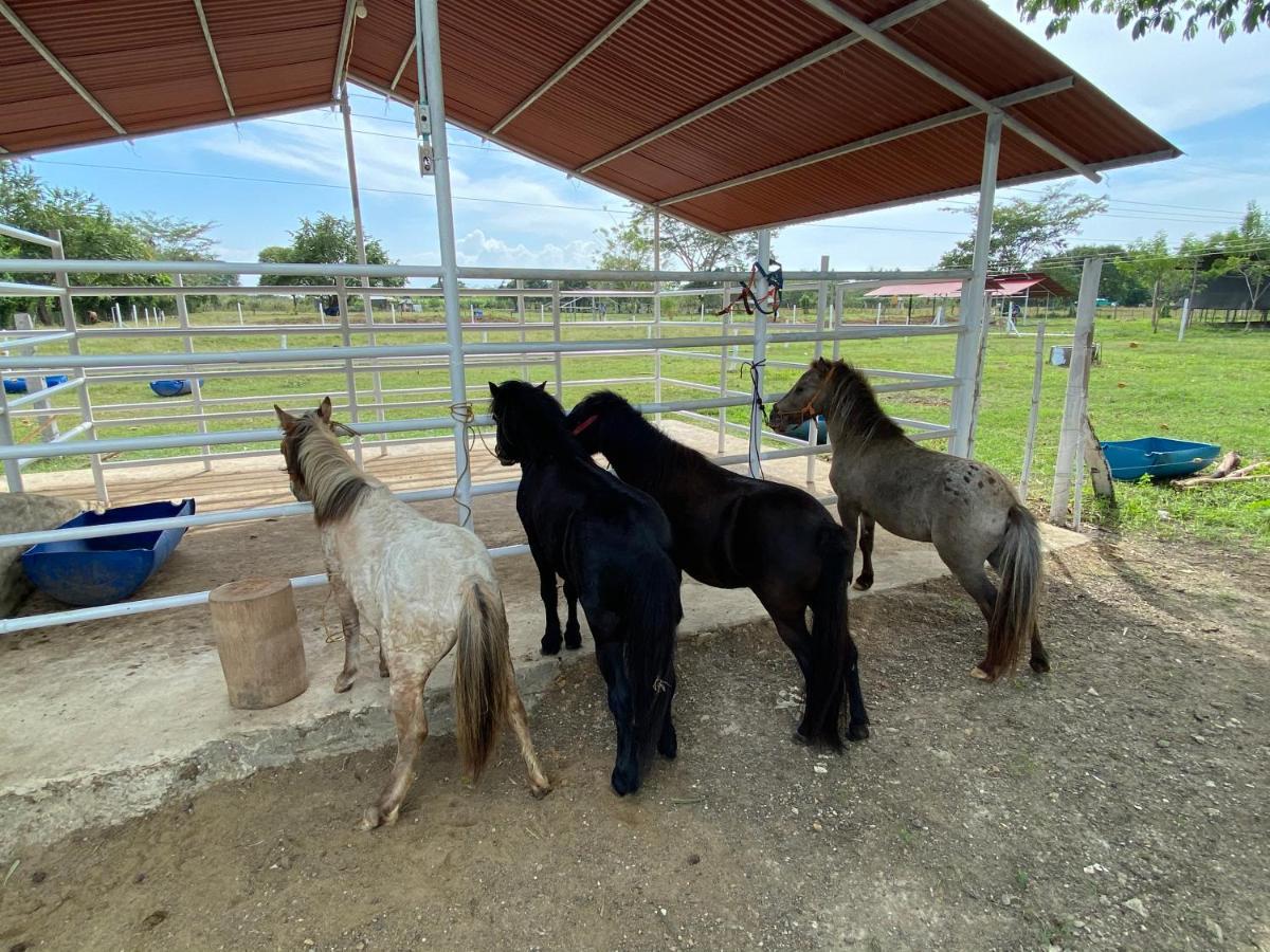 Hotel - Granja De Animales San Basilio De Palenque San Basilio del Palenque Dış mekan fotoğraf