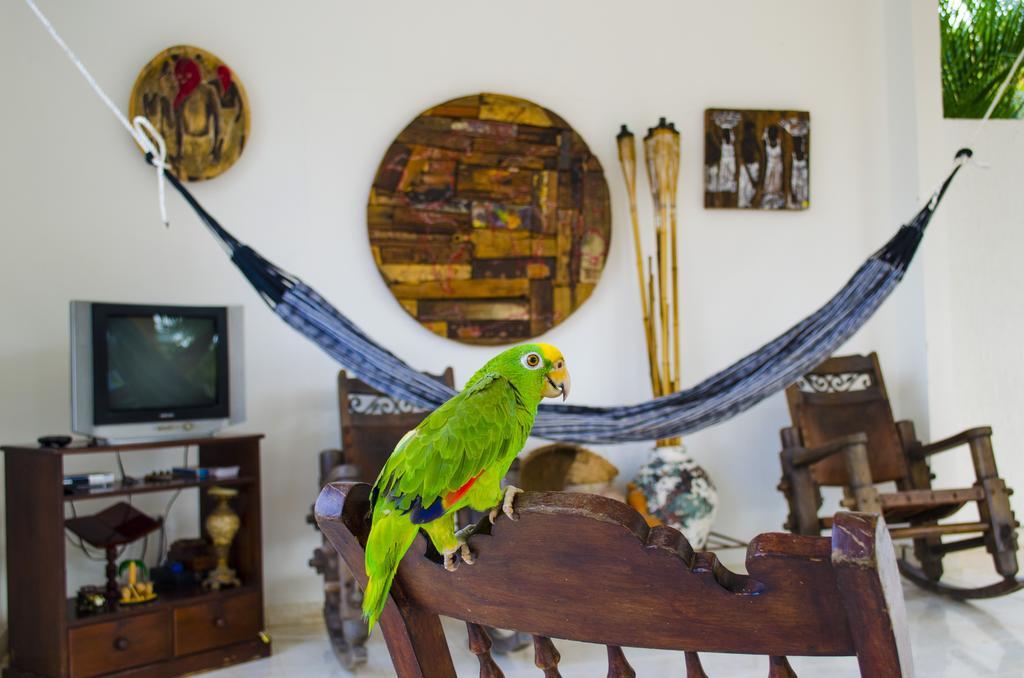 Hotel - Granja De Animales San Basilio De Palenque San Basilio del Palenque Dış mekan fotoğraf
