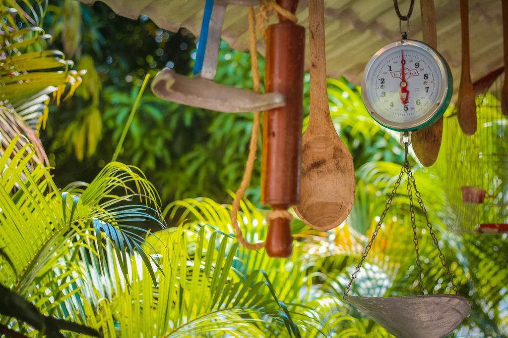 Hotel - Granja De Animales San Basilio De Palenque San Basilio del Palenque Dış mekan fotoğraf